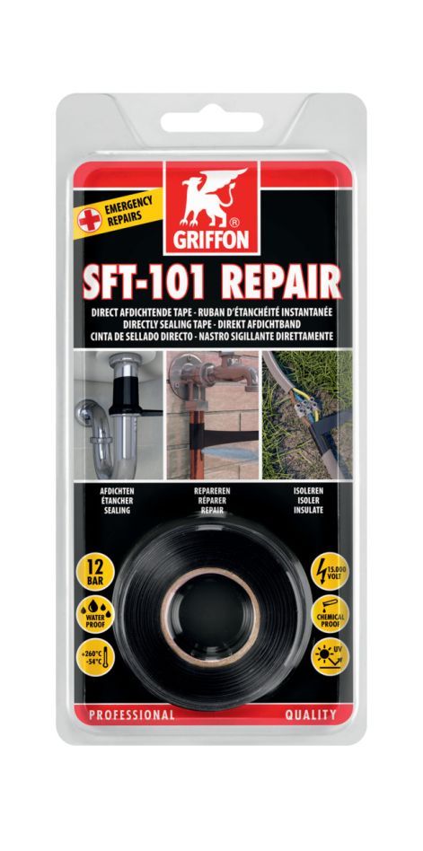 Griffon 6311144 SFT-101 Reparatur 3m